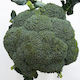 Broccoli - 1 head