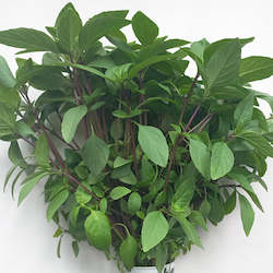 Vegetable growing: Thai Basil - whole plant