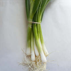 Vegetable growing: Spring Onions
