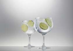 Giftware: Gin Glasses