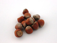 Hazel nuts - seed and feed
