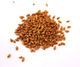 Barley - clean machine dressed - seed and feed