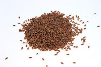 Seed wholesaling: Linseed - seed and feed