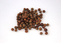 Maple peas - seed and feed