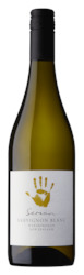 White Wine: Sauvignon Blanc  2022
