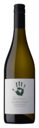 White Wine: Chardonnay  2022