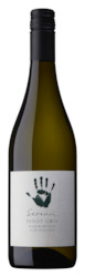 White Wine: Pinot Gris  2022