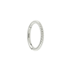 Twisted Hinged Segment Ring (Surgical Steel)