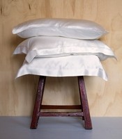 Silkliving's Puresilk European Pillowslip Silkbody