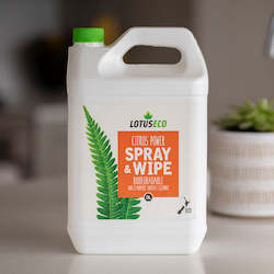 Frontpage: Eco Spray & Wipe 5L