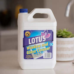 Cleaning: Window & Glass Cleaner 5L