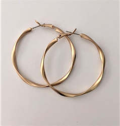 Accessories: Variagated hoop earring