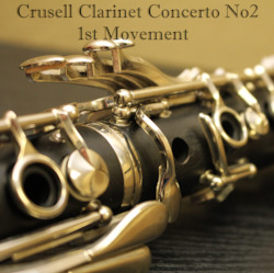 Musician: Crusell Clarinet Concerto No2 - 1st Movement