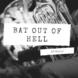 Musician: Bat Out Of Hell
