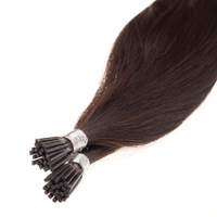 AAA 24inch 1g I Tip Hair Extensions