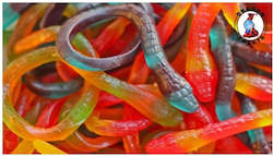 Gummy: Pythons