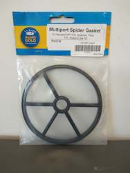 Swimming pool operation: FPI MPV Spider Gasket