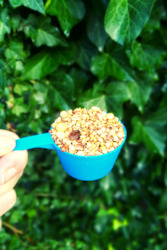 Cereal foods: FREE Portion Cup