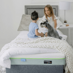 Bed: Double & Single Sibling Bundle with FREE Pillows
