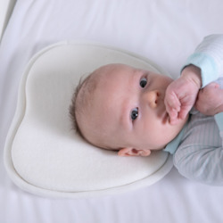 Sleepy Time 1: MOOSE Baby-Head-Shape Support