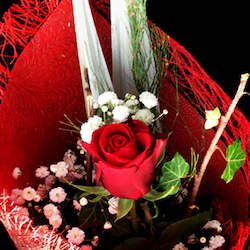 Florist: Single Red Rose
