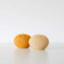 Beekeeping: Scallop Shell Beeswax Candles