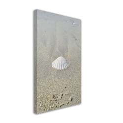 Canvas Wall Art Shell on Beach 30x45 cm