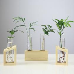 Desktop Hydroponic Vase -- Test Tube & Original Wood Color