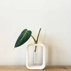 Interior design or decorating: Propagation Vase | White