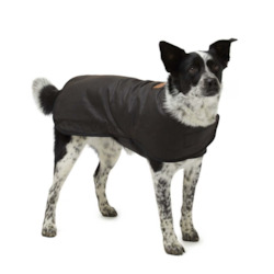 Internet only: Woollen Dog Coats