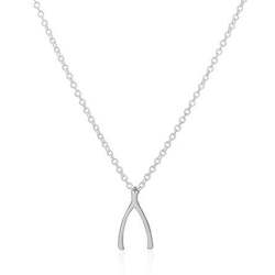 Jewellery: Wishbone Necklace
