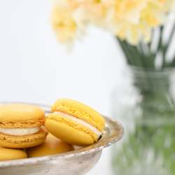Lemon Macarons 12 Pack with Harcourts Box
