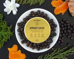 Internet only: Sprout Salve