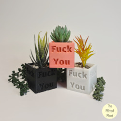 Offensive Planters: F You Planter