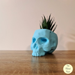 Skull Planter Hanging/Sitting