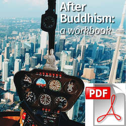 Book and other publishing (excluding printing): After Buddhism: a workbook | PDF