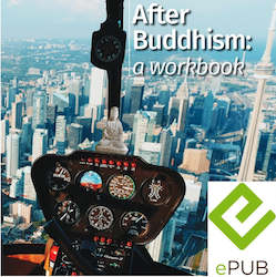 Book and other publishing (excluding printing): After Buddhism: a workbook | ePub
