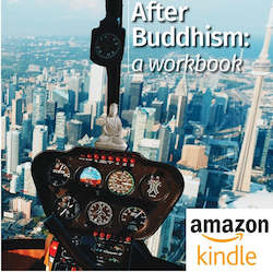Book and other publishing (excluding printing): After Buddhism: a workbook | Kindle