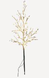 Decorative Pieces: Embellished Light Up Branch - 80cm