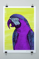 Evie Kemp - Macaw Print, A3 by Evie Kemp