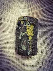 lovely lichen