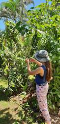 Specialised food: How to Loop for a Healthy Vanilla Vine - Tip of the Day