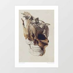 Artist: 'Skull - High By The Beach' Art Print by Vertigo Artography