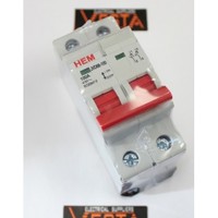 Main isolator switch 2 pole 100A