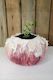 Lovely succulent, cactus plant pot in rose color. Fluffy wool decor, jewelry box…