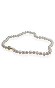 Jewellery: Akoya pearl necklace with 9ct yellow gold clasp from Walker and Hall Jeweller - Walker & Hall