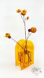 Dried flower: Amber Acrylic Arch Vase