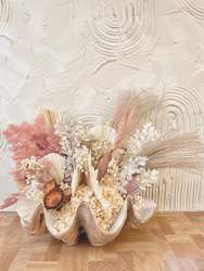 Dried flower: Blush Giant Clam
