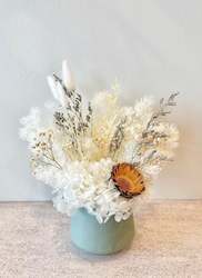 Dried flower: Mini Elegance Vase