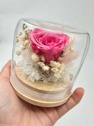 Dried flower: 2024 Mother's Day S Dome - Limited Edition